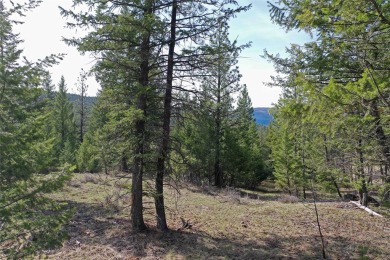 Lake Koocanusa Acreage For Sale in Rexford Montana