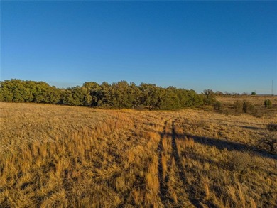 Lake Comanche Acreage For Sale in Comanche Texas