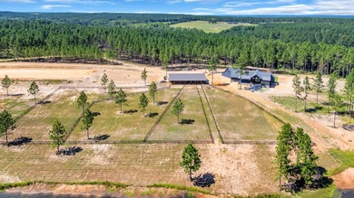 Welcome to your dream farm in Mill Race Equestrian Community! - photo 40