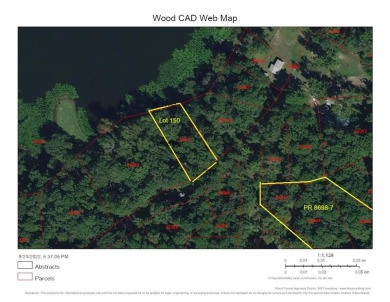 Big Woods Spring Lake Lot For Sale in Winnsboro Texas