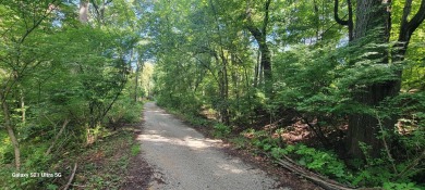 Lake Michigan - Berrien County Lot For Sale in New Buffalo Michigan
