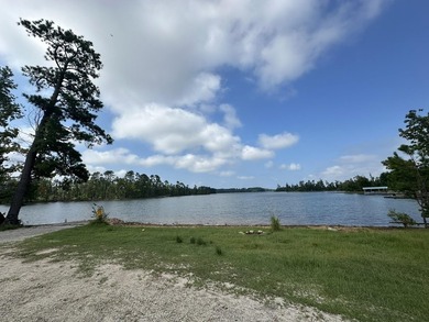Great Acreage ready for your next Lake Home in the beautiful - photo 15