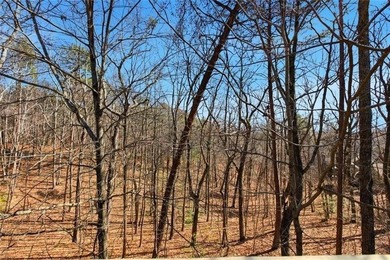 Outstanding opportunity to own a beautiful home in Big - photo 21