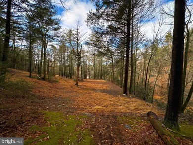 The Poconos, the primary tourist destination in Pennsylvania, is - photo 36