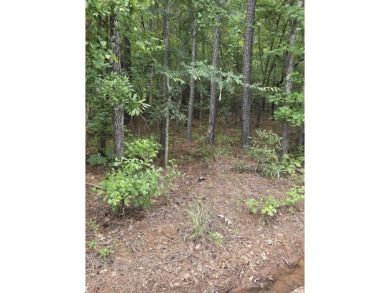 Strom Thurmond / Clarks Hill Lake Lot For Sale in Tignall Georgia