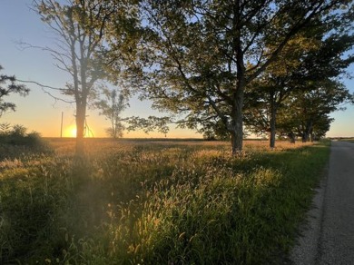 Lake Lot For Sale in Bronson, Michigan