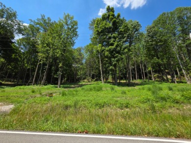 Over an Acre Down the Street from Boat Ramp! - photo 4
