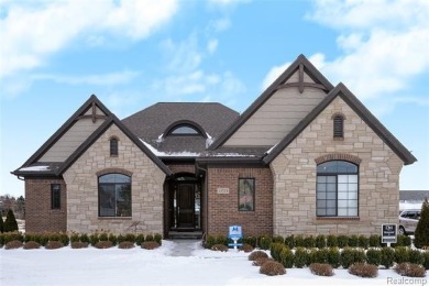 Lake Home Active Under Con in Shelby, Michigan