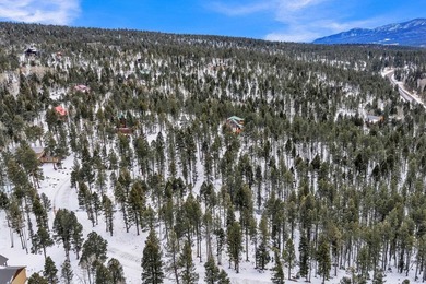 Ready to build your mountain home in Angel Fire, NM?! This - photo 11