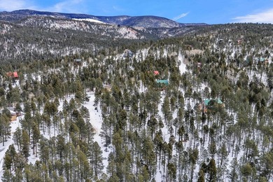 Ready to build your mountain home in Angel Fire, NM?! This - photo 13