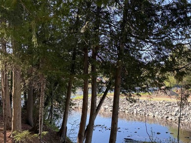 Waterfront Property on Bean Brook! If you are looking for a - photo 42