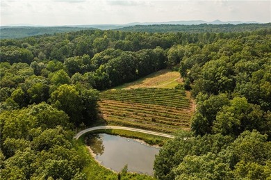 (private lake, pond, creek) Home For Sale in Ball Ground Georgia