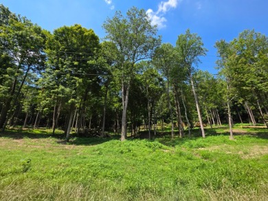 Over an Acre Down the Street from Boat Ramp! - photo 6