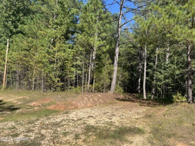 Lake Acreage For Sale in Cedar Grove, Tennessee