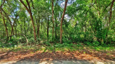 (private lake, pond, creek) Lot For Sale in Webster Florida