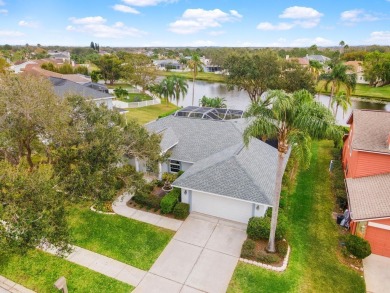 Lake Home For Sale in Riverview, Florida