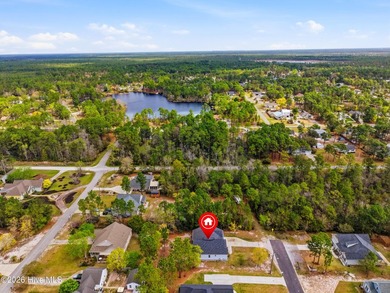 Welcome to your new home in Boiling Spring Lakes! This charming - photo 47