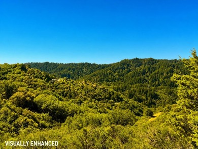 Nestled at the end of Sanborn Road in the scenic Saratoga - photo 2
