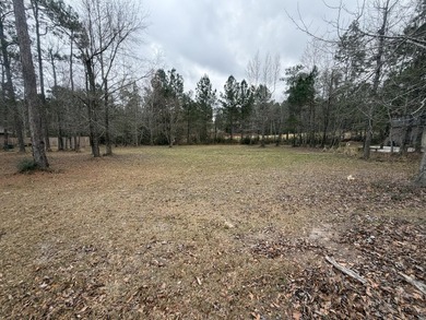 Great lot on Hole 1 at Shadow Ridge Golf Club. Tucked into a - photo 1