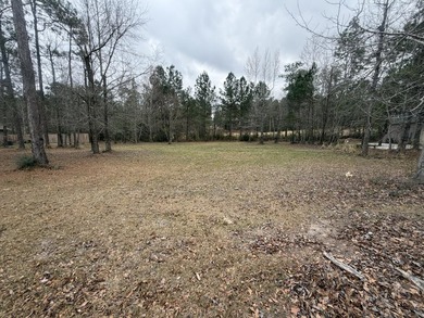 Great lot on Hole 1 at Shadow Ridge Golf Club. Tucked into a - photo 2