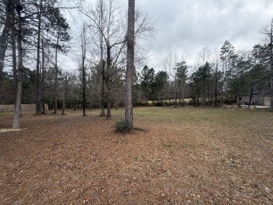 Great lot on Hole 1 at Shadow Ridge Golf Club. Tucked into a - photo 3