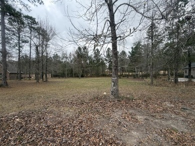 Great lot on Hole 1 at Shadow Ridge Golf Club. Tucked into a - photo 4