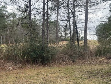 Great lot on Hole 1 at Shadow Ridge Golf Club. Tucked into a - photo 5