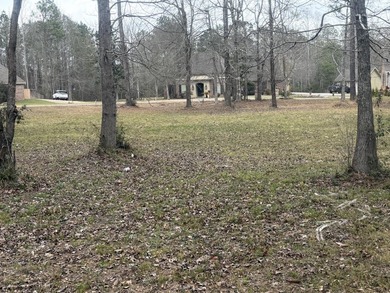 Great lot on Hole 1 at Shadow Ridge Golf Club. Tucked into a - photo 6