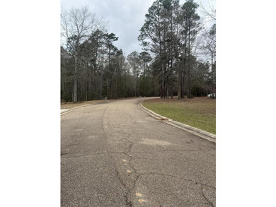 Great lot on Hole 1 at Shadow Ridge Golf Club. Tucked into a - photo 7