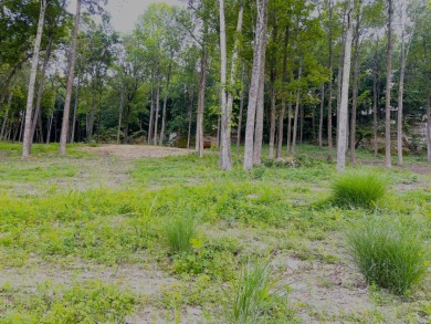 Over an Acre Down the Street from Boat Ramp! - Lake Lot For Sale in Falls Of Rough, Kentucky