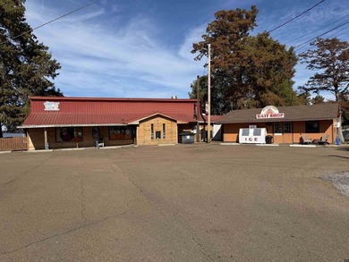 Turnkey, fully operating & equipped resort complex on Reelfoot - photo 5