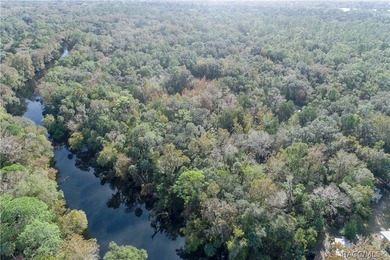 An unparalleled 1.4-acre oasis along the Withlacoochee River - photo 11