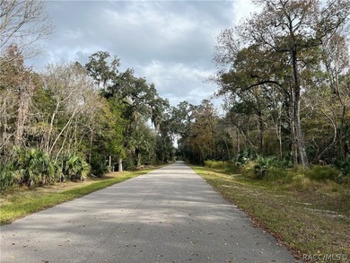 An unparalleled 1.4-acre oasis along the Withlacoochee River - photo 12
