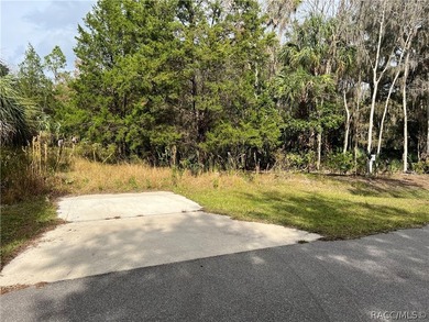 An unparalleled 1.4-acre oasis along the Withlacoochee River - photo 13