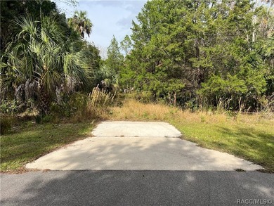 An unparalleled 1.4-acre oasis along the Withlacoochee River - photo 14
