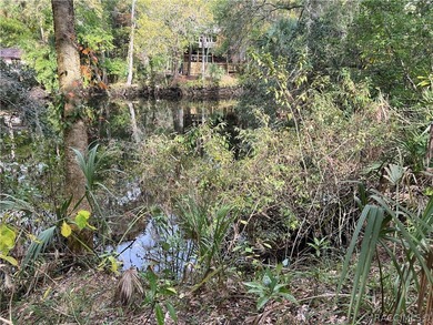 An unparalleled 1.4-acre oasis along the Withlacoochee River - photo 15
