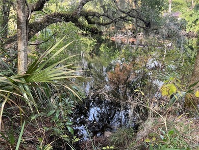 An unparalleled 1.4-acre oasis along the Withlacoochee River - photo 16