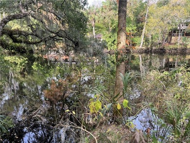 An unparalleled 1.4-acre oasis along the Withlacoochee River - photo 17