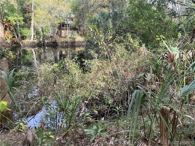 An unparalleled 1.4-acre oasis along the Withlacoochee River - photo 18