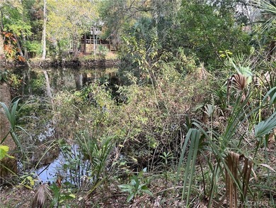 An unparalleled 1.4-acre oasis along the Withlacoochee River - photo 19