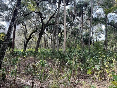 An unparalleled 1.4-acre oasis along the Withlacoochee River - photo 20