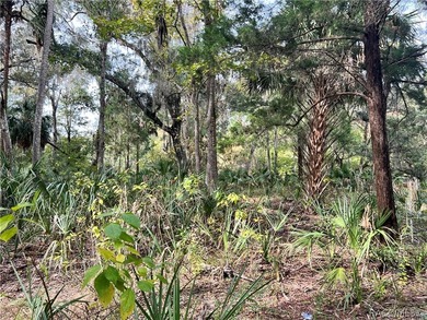 An unparalleled 1.4-acre oasis along the Withlacoochee River - photo 21