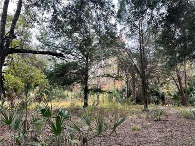 An unparalleled 1.4-acre oasis along the Withlacoochee River - photo 22