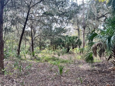 An unparalleled 1.4-acre oasis along the Withlacoochee River - photo 23