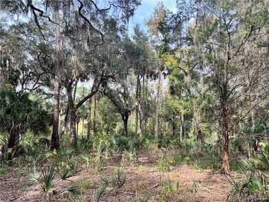 An unparalleled 1.4-acre oasis along the Withlacoochee River - photo 24