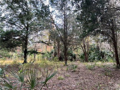 An unparalleled 1.4-acre oasis along the Withlacoochee River - photo 25
