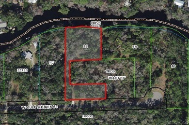 An unparalleled 1.4-acre oasis along the Withlacoochee River - photo 26