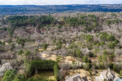 Beautifully renovated corner lot home zoned for Dolly Ridge Elem