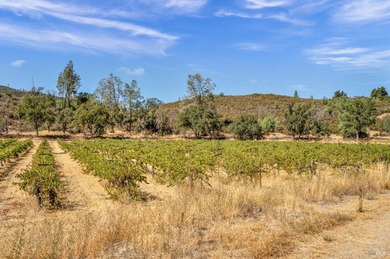 Welcome to Stonehouse Cellars Winery & Bed & Barrel, an - photo 39