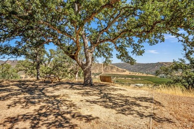 Welcome to Stonehouse Cellars Winery & Bed & Barrel, an - photo 43